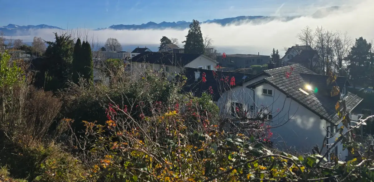 Hausräumung mit Plan statt Panik